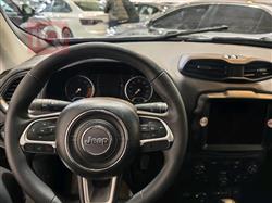 جيب رينيجيد